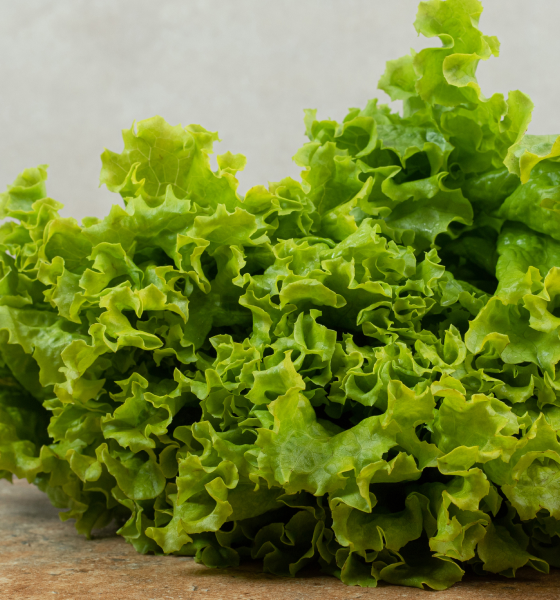 kale-farm-product